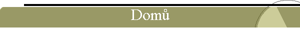 Dom